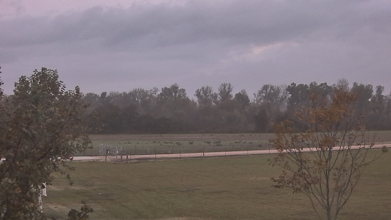 Thumbnail for current weather camera view from Long Acres Ranch in Richmond, Texas