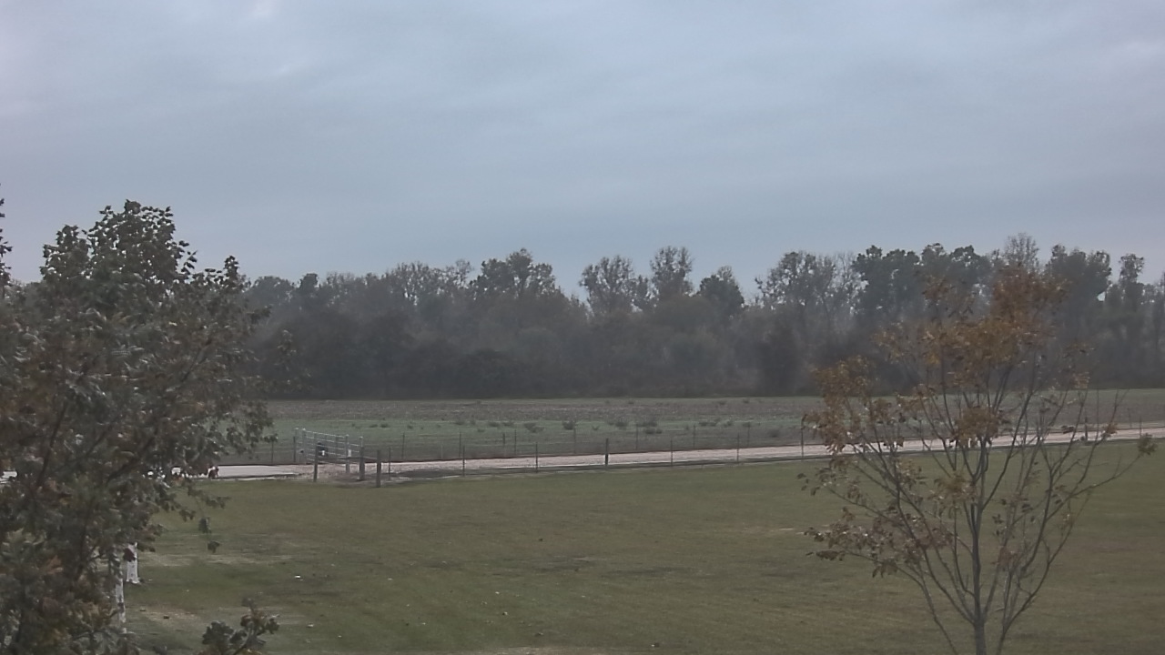 Thumbnail for current weather camera view from Long Acres Ranch in Richmond, Texas
