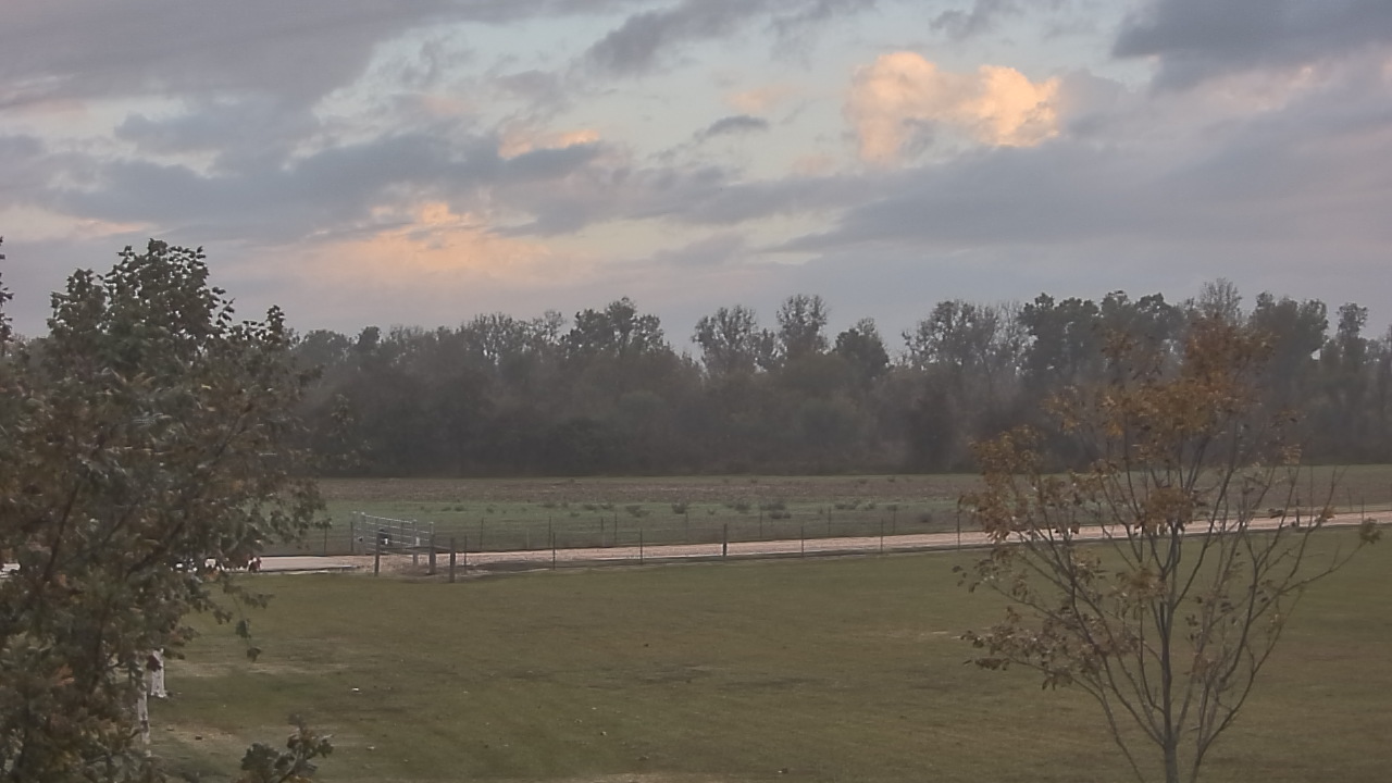 Thumbnail for current weather camera view from Long Acres Ranch in Richmond, Texas