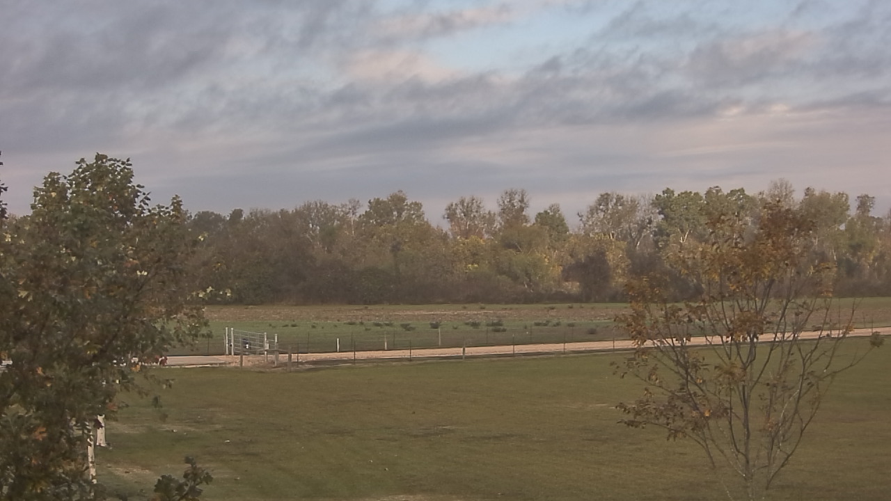 Thumbnail for current weather camera view from Long Acres Ranch in Richmond, Texas