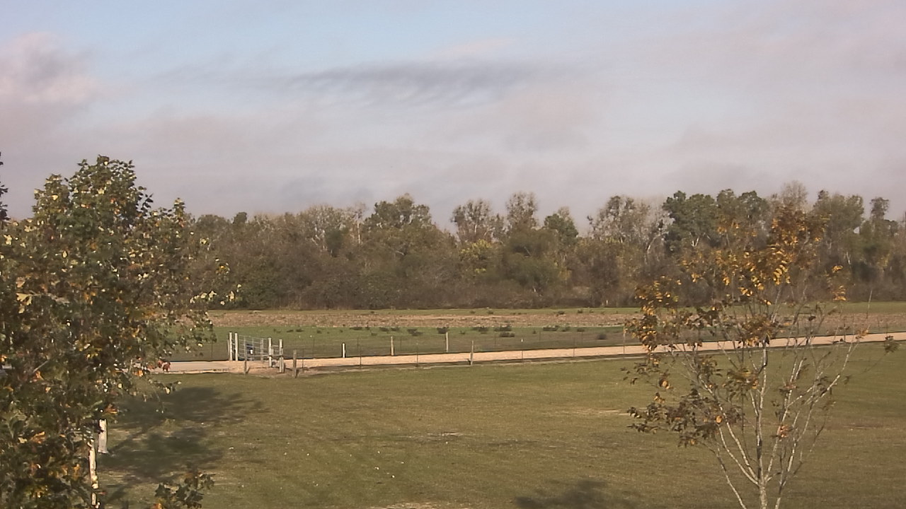 Thumbnail for current weather camera view from Long Acres Ranch in Richmond, Texas