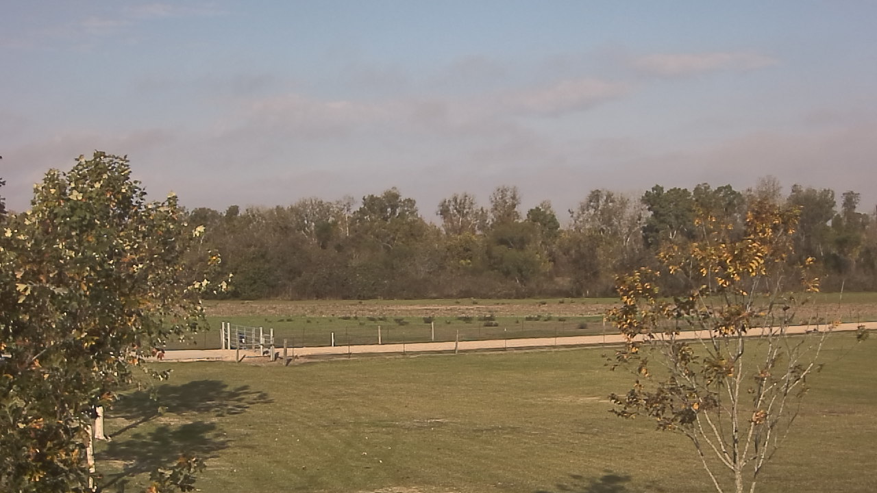 Thumbnail for current weather camera view from Long Acres Ranch in Richmond, Texas