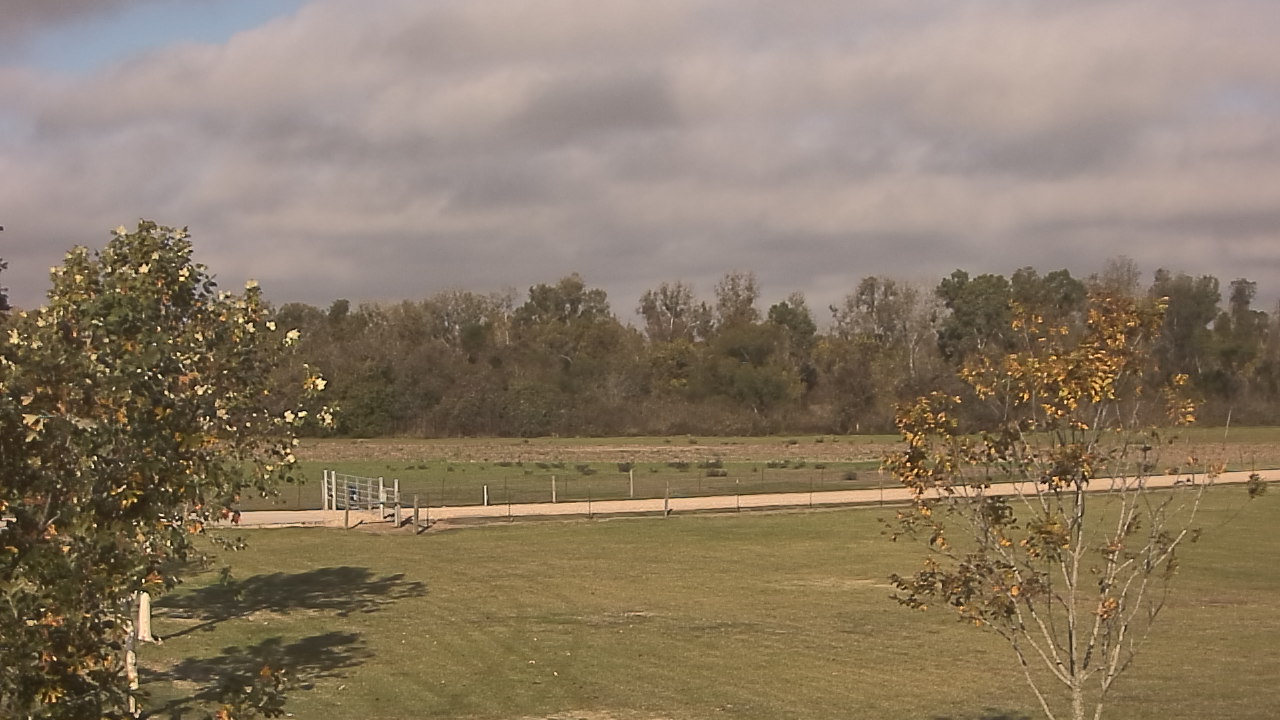 Thumbnail for current weather camera view from Long Acres Ranch in Richmond, Texas