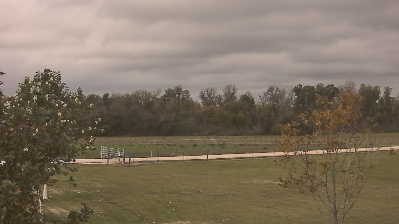 Thumbnail for current weather camera view from Long Acres Ranch in Richmond, Texas