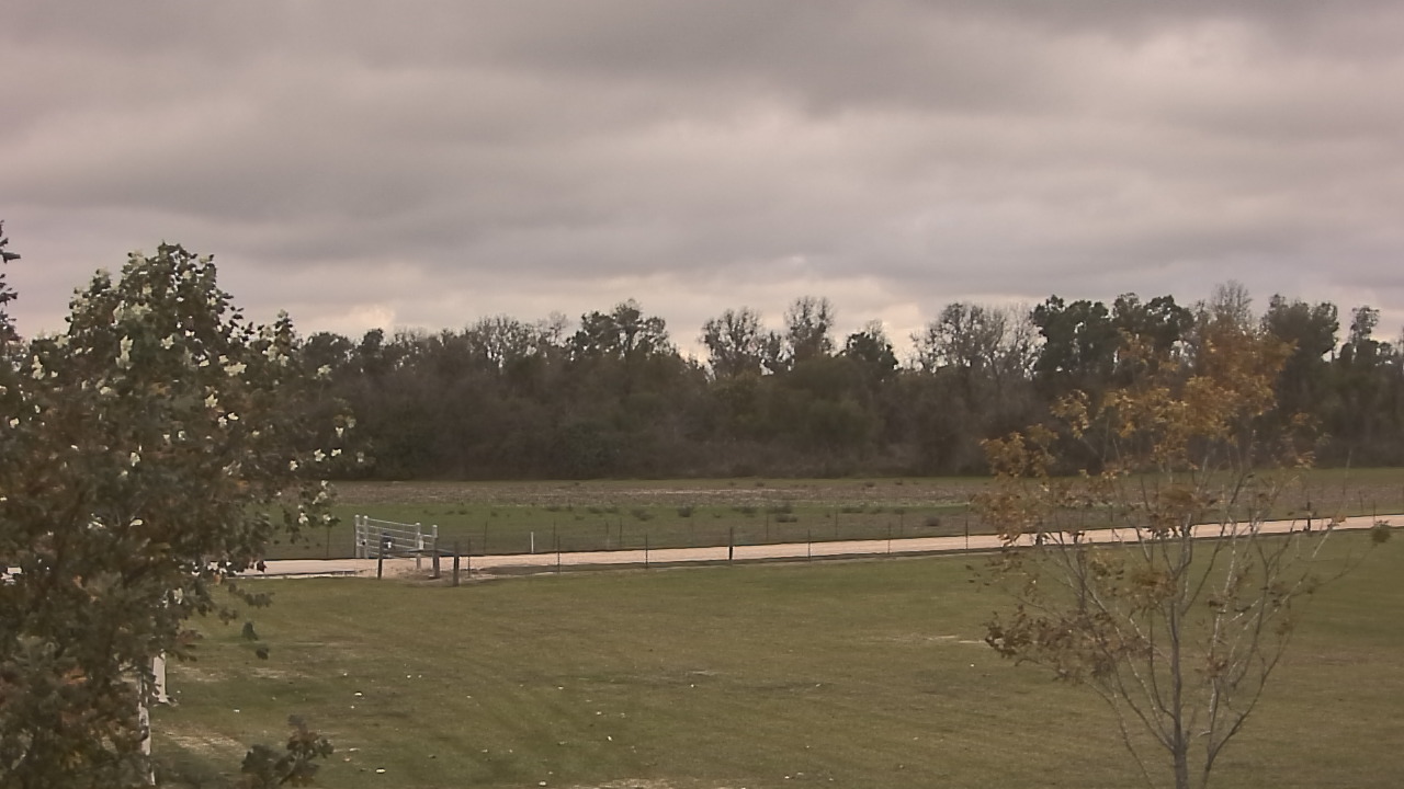 Thumbnail for current weather camera view from Long Acres Ranch in Richmond, Texas