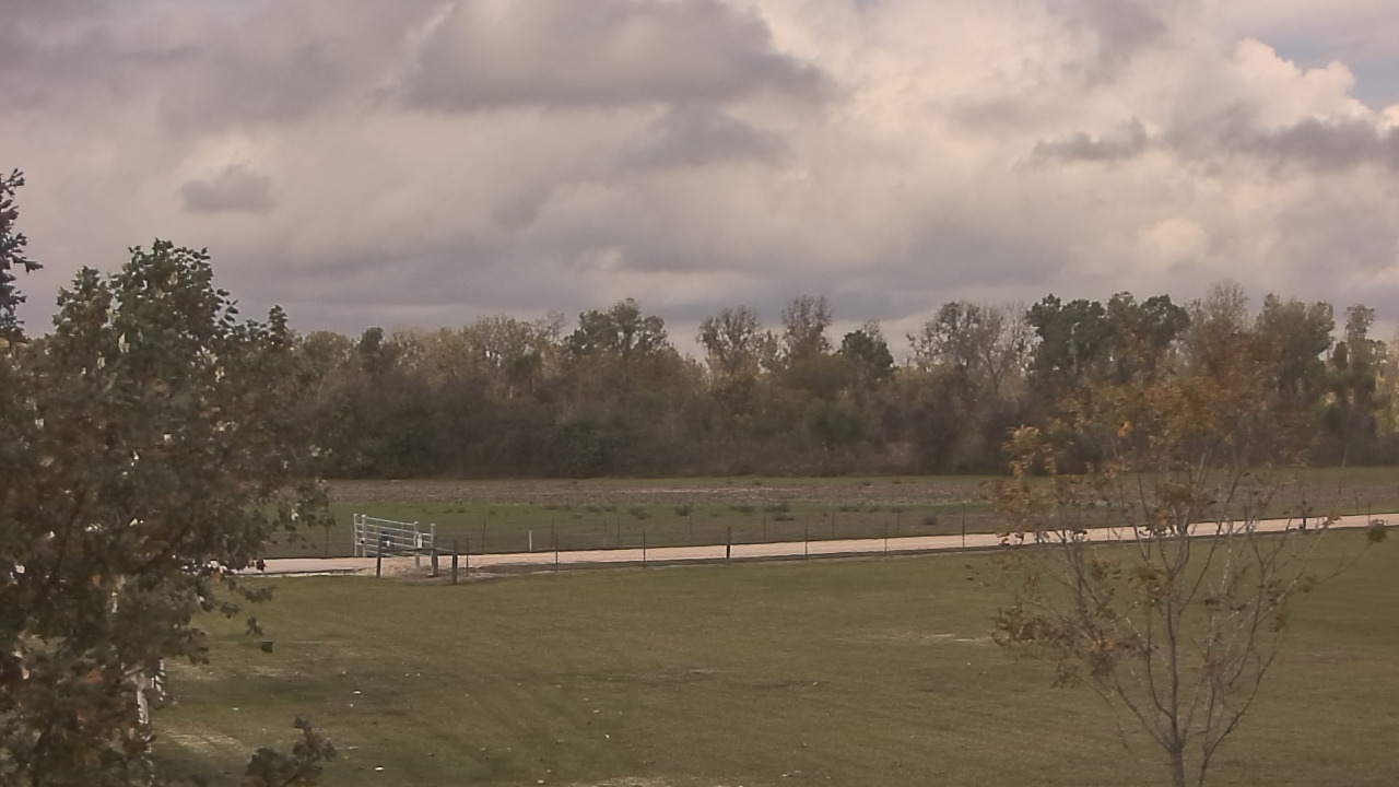 Thumbnail for current weather camera view from Long Acres Ranch in Richmond, Texas