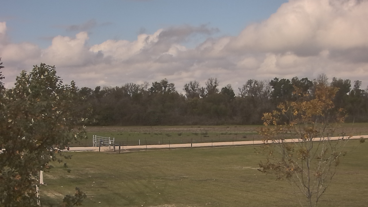 Thumbnail for current weather camera view from Long Acres Ranch in Richmond, Texas