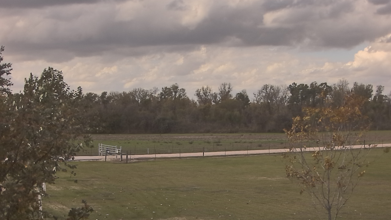 Thumbnail for current weather camera view from Long Acres Ranch in Richmond, Texas