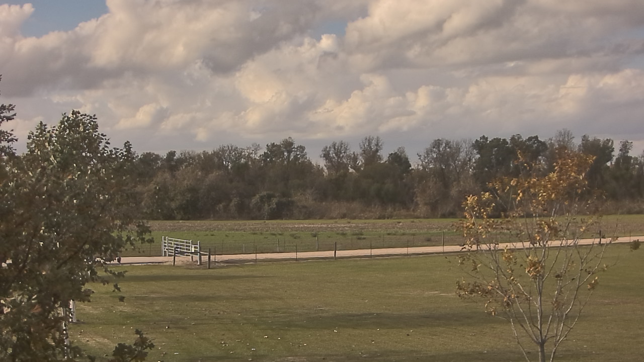 Thumbnail for current weather camera view from Long Acres Ranch in Richmond, Texas