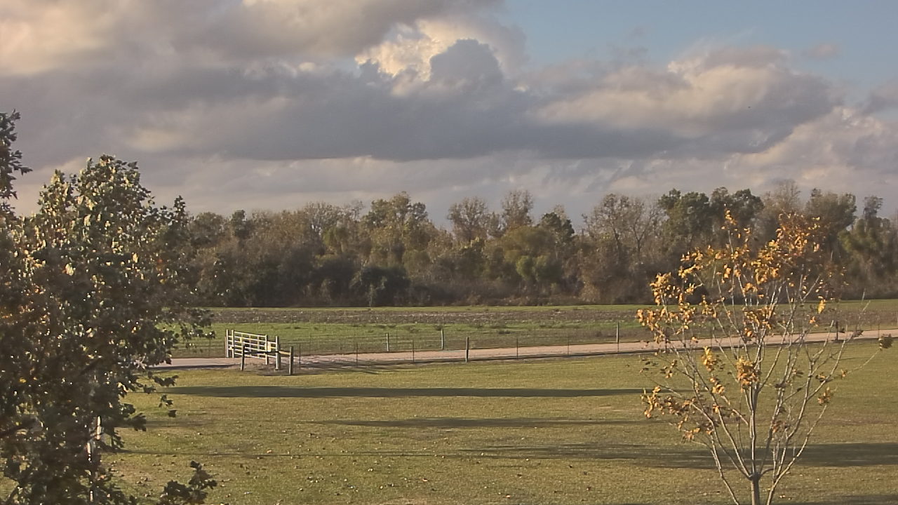 Thumbnail for current weather camera view from Long Acres Ranch in Richmond, Texas