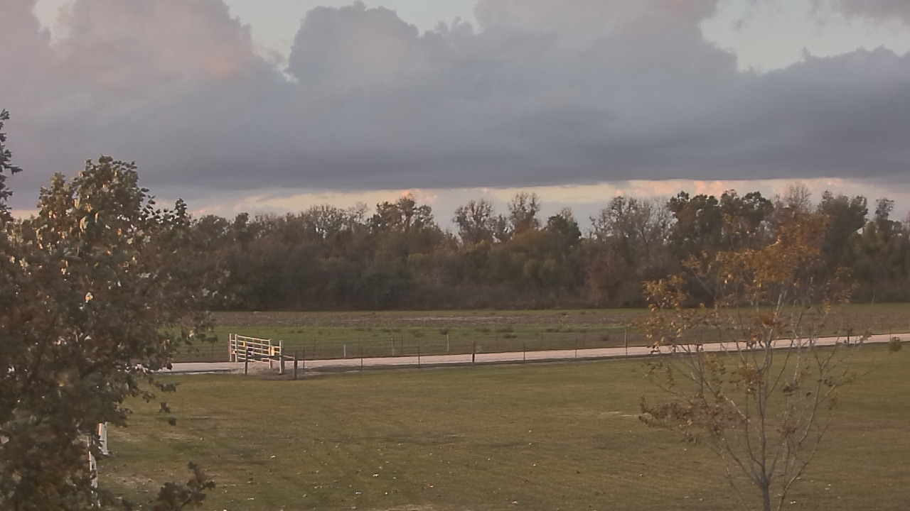 Thumbnail for current weather camera view from Long Acres Ranch in Richmond, Texas