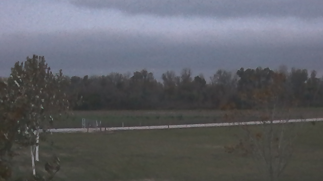 Thumbnail for current weather camera view from Long Acres Ranch in Richmond, Texas