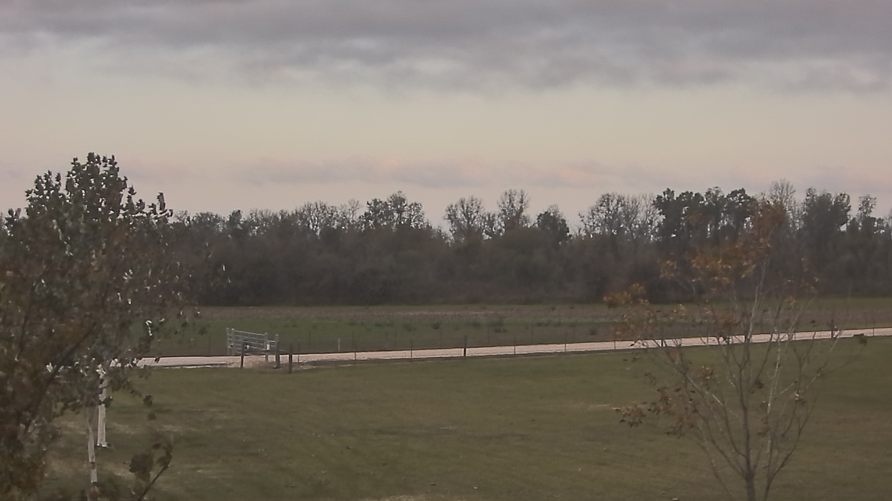 Thumbnail for current weather camera view from Long Acres Ranch in Richmond, Texas