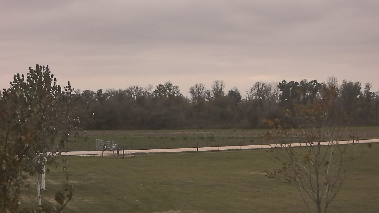 Thumbnail for current weather camera view from Long Acres Ranch in Richmond, Texas