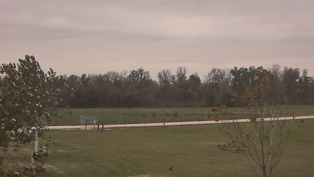 Thumbnail for current weather camera view from Long Acres Ranch in Richmond, Texas