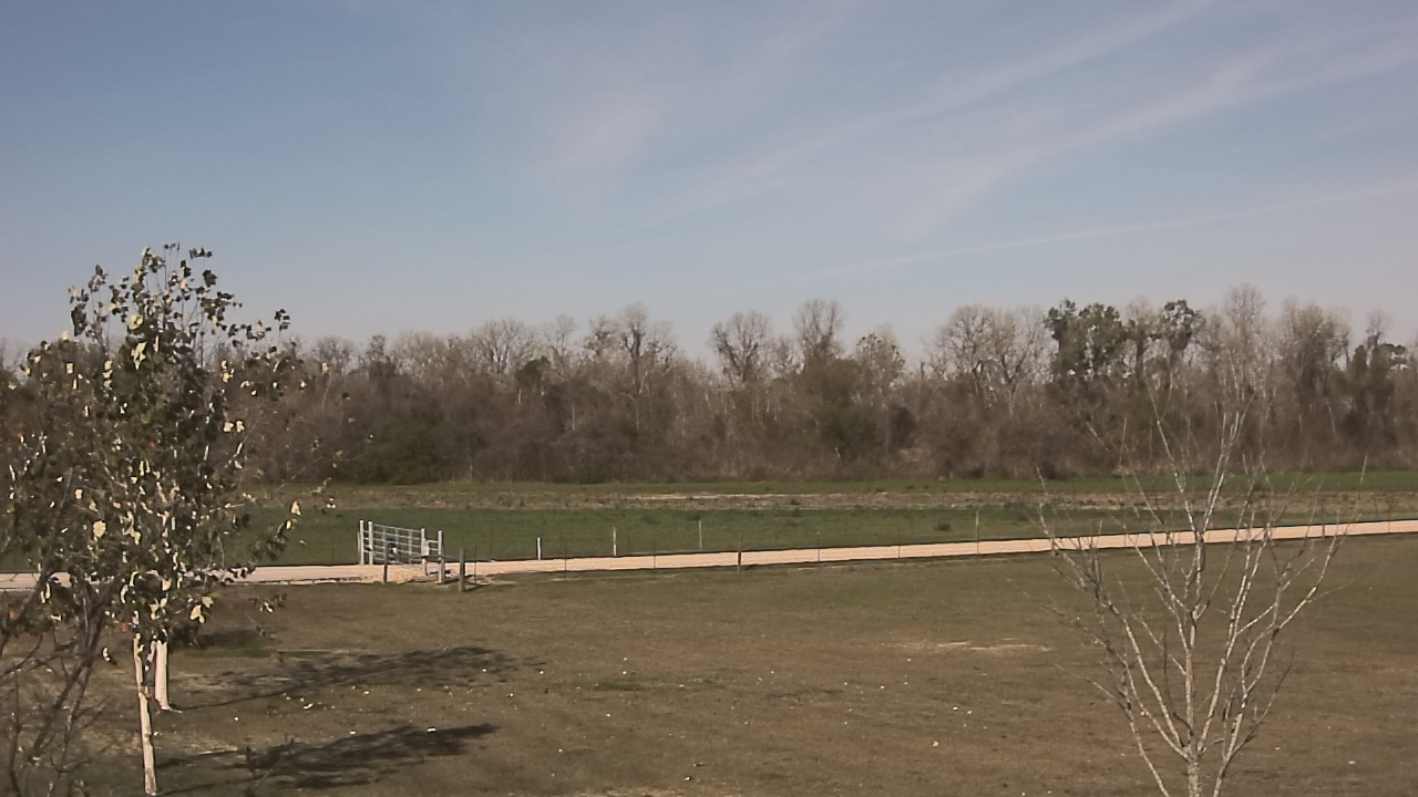 Thumbnail for current weather camera view from Long Acres Ranch in Richmond, Texas