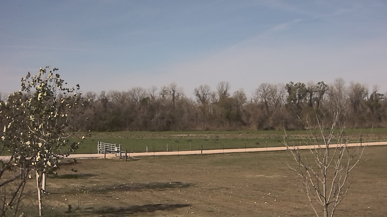 Thumbnail for current weather camera view from Long Acres Ranch in Richmond, Texas