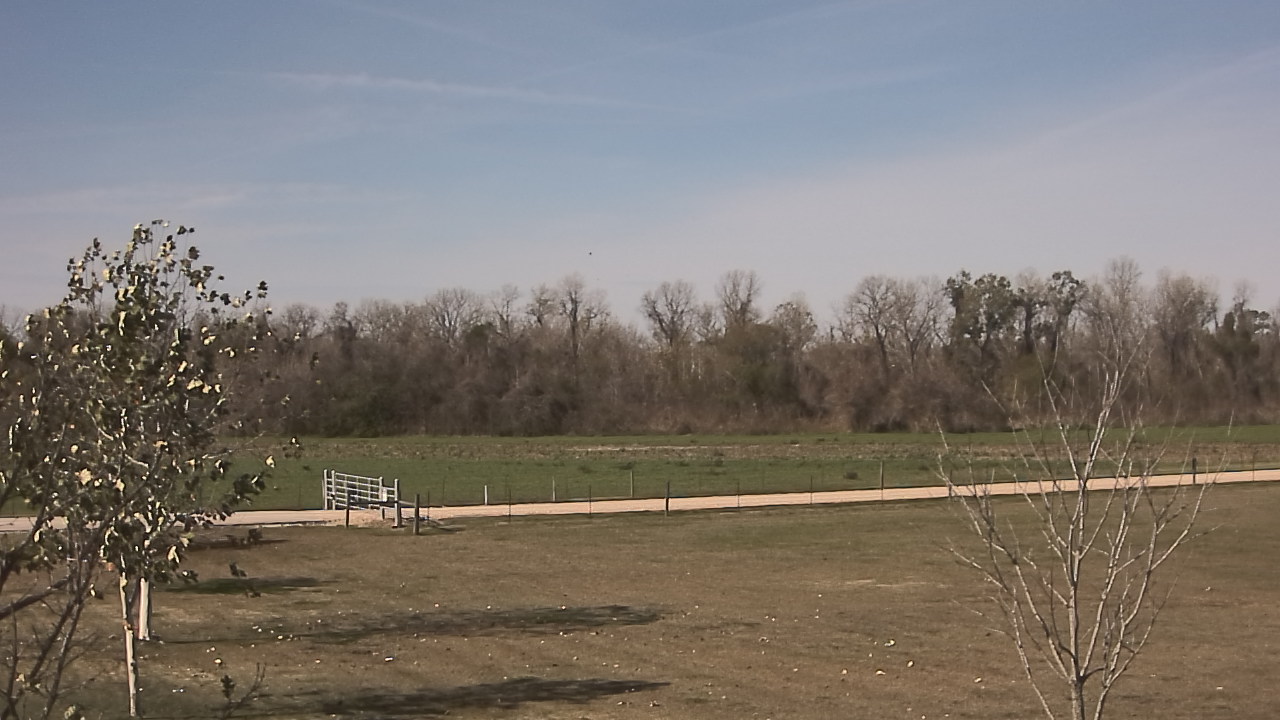 Thumbnail for current weather camera view from Long Acres Ranch in Richmond, Texas