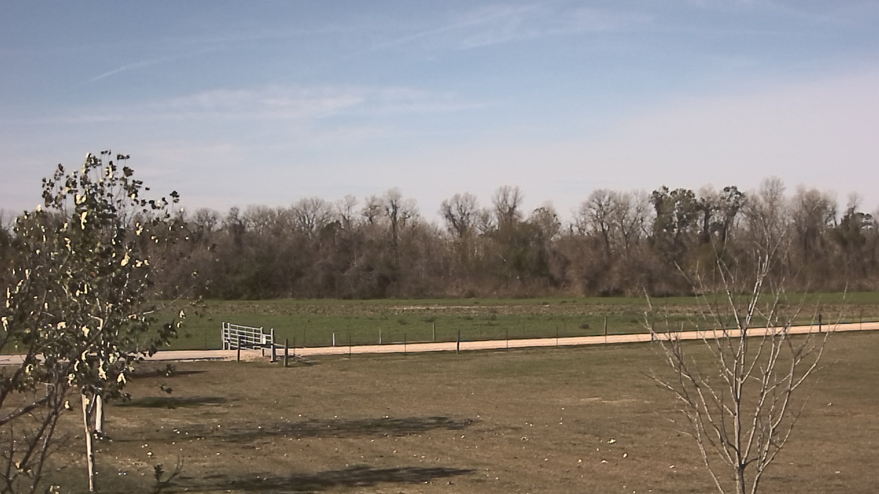 Thumbnail for current weather camera view from Long Acres Ranch in Richmond, Texas