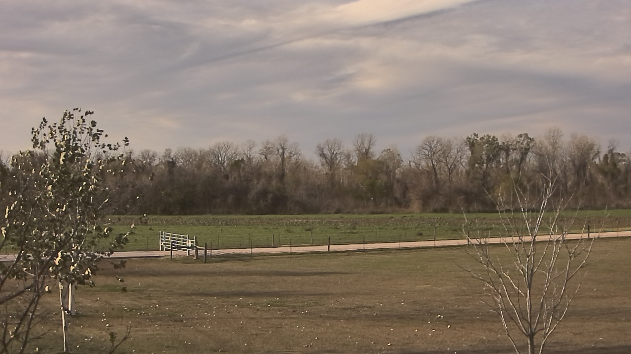 Thumbnail for current weather camera view from Long Acres Ranch in Richmond, Texas