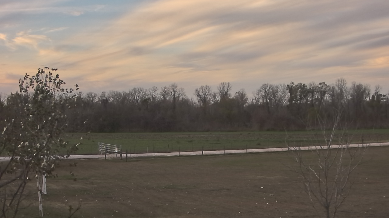 Thumbnail for current weather camera view from Long Acres Ranch in Richmond, Texas