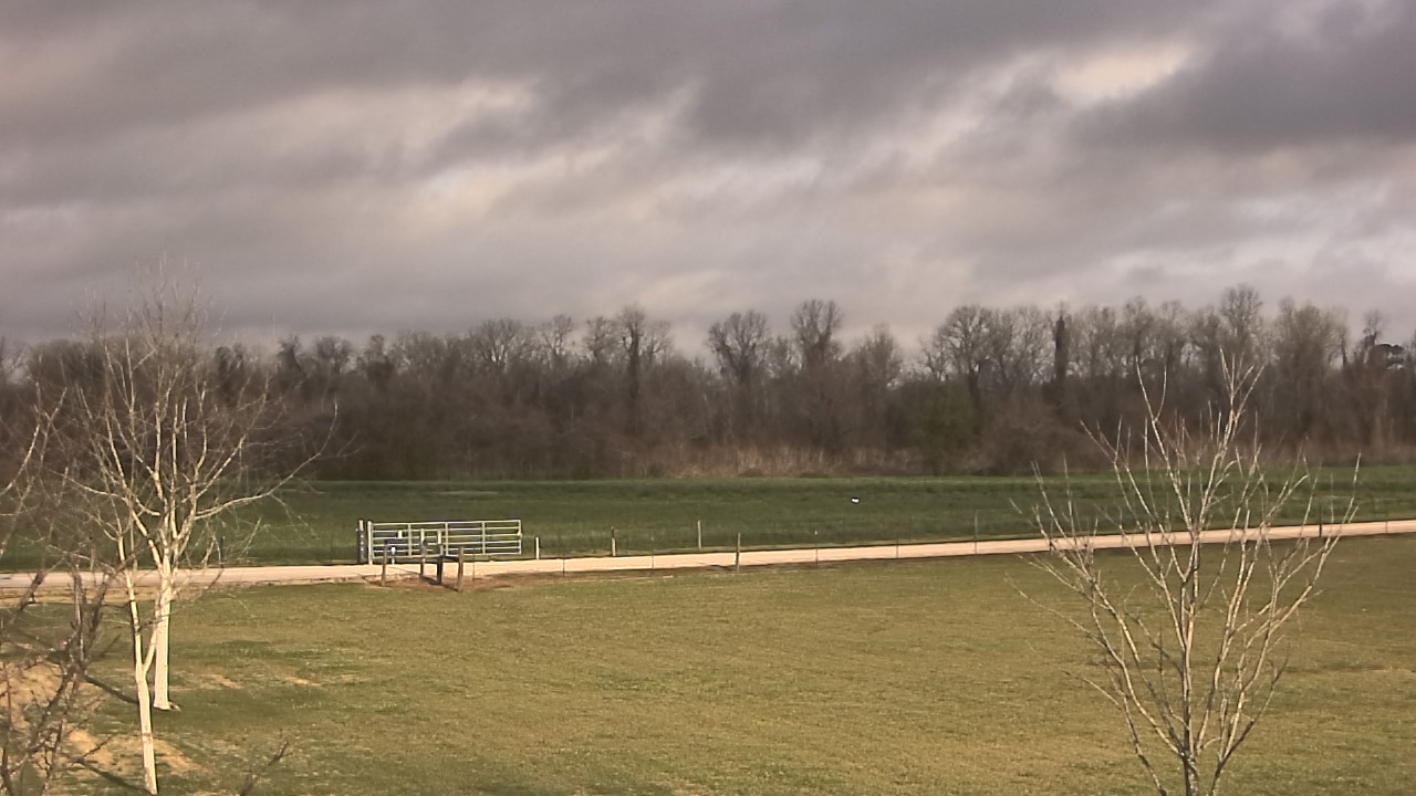 Thumbnail for current weather camera view from Long Acres Ranch in Richmond, Texas