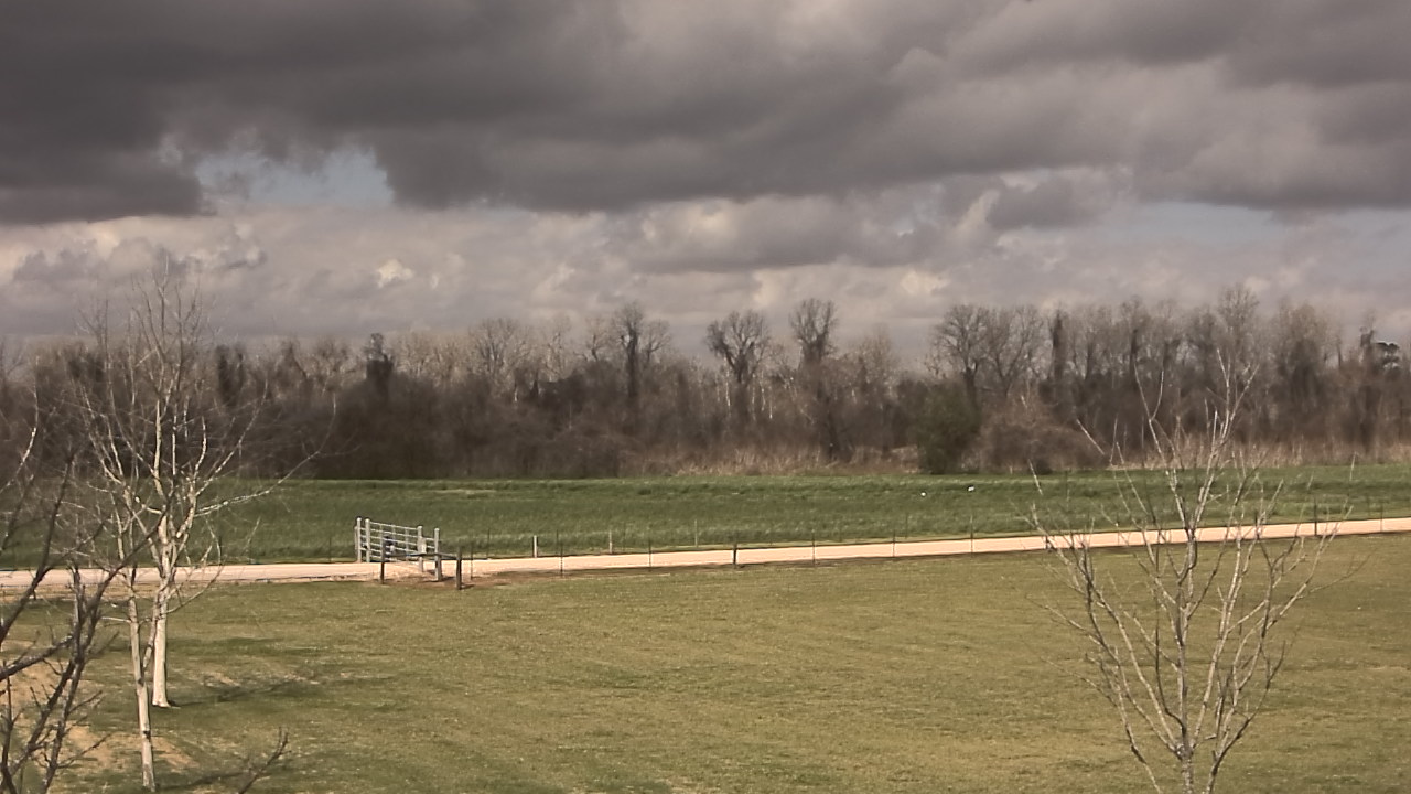 Thumbnail for current weather camera view from Long Acres Ranch in Richmond, Texas