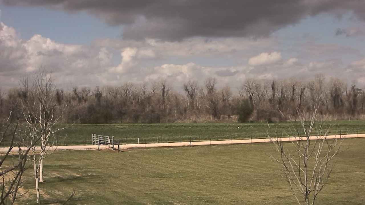 Thumbnail for current weather camera view from Long Acres Ranch in Richmond, Texas