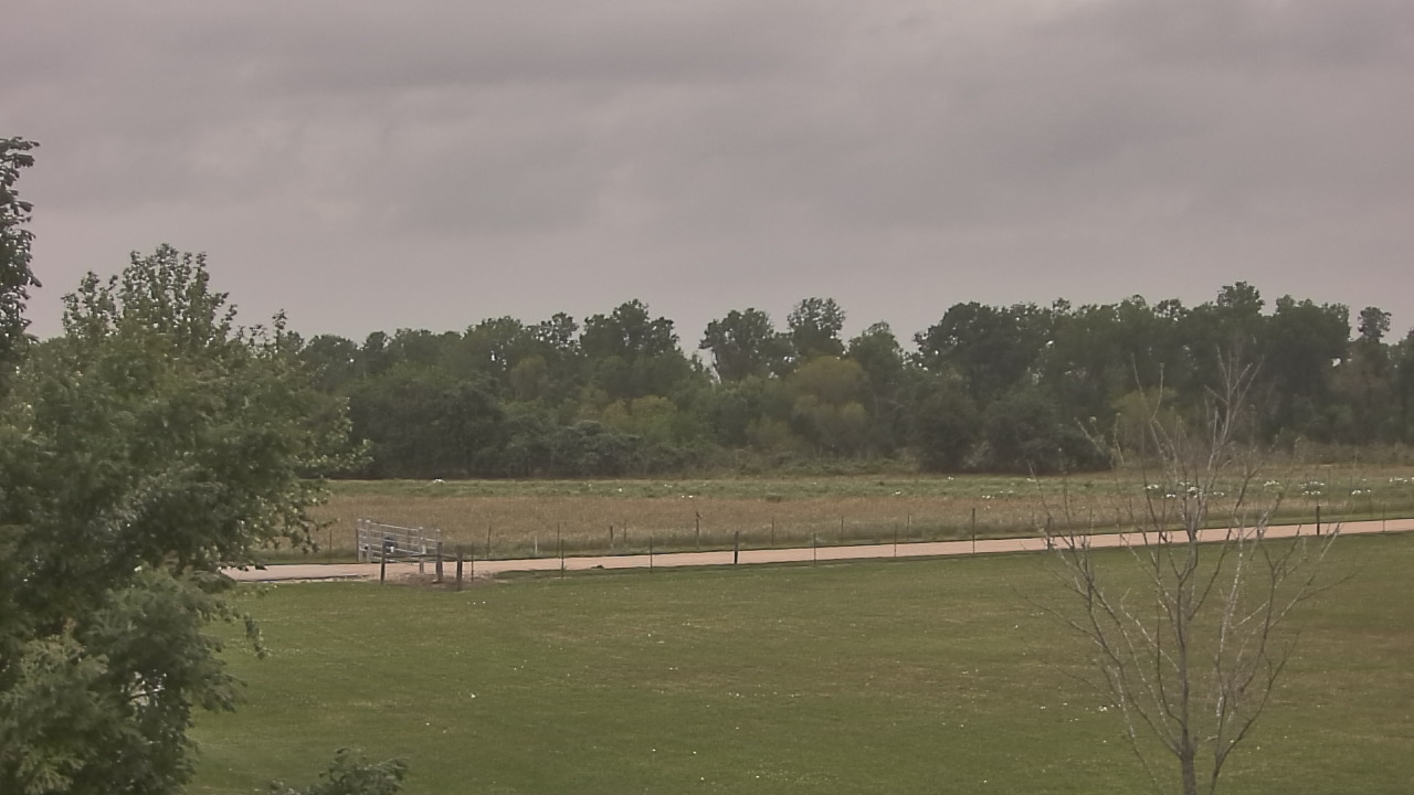 Thumbnail for current weather camera view from Long Acres Ranch in Richmond, Texas