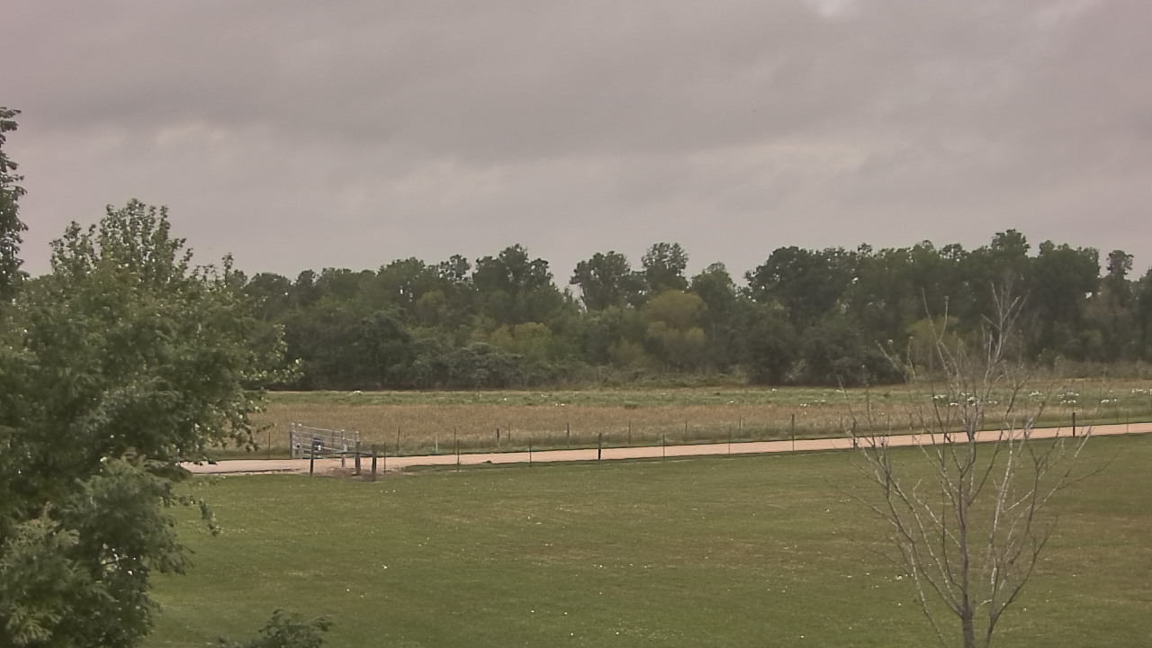 Thumbnail for current weather camera view from Long Acres Ranch in Richmond, Texas