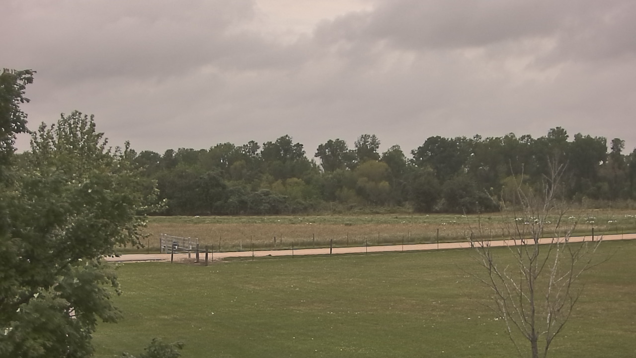 Thumbnail for current weather camera view from Long Acres Ranch in Richmond, Texas