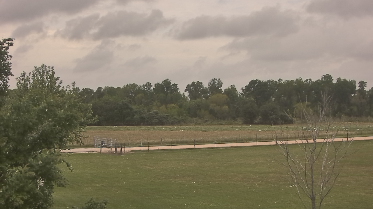Thumbnail for current weather camera view from Long Acres Ranch in Richmond, Texas