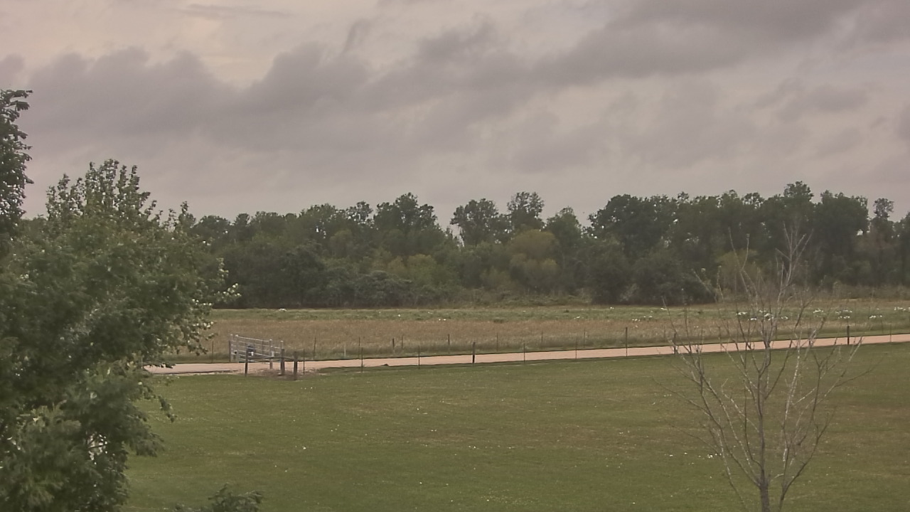Thumbnail for current weather camera view from Long Acres Ranch in Richmond, Texas