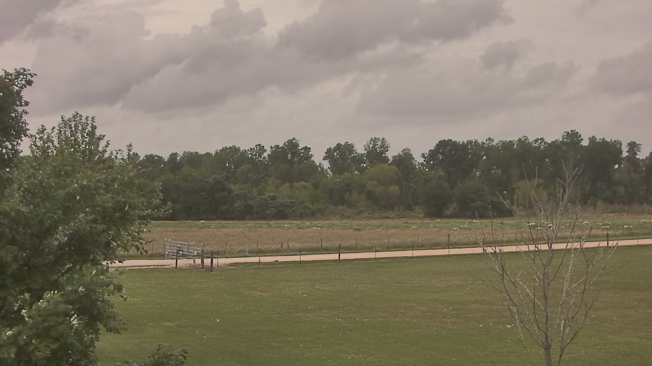 Thumbnail for current weather camera view from Long Acres Ranch in Richmond, Texas