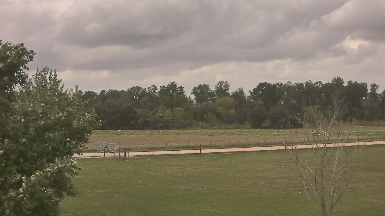 Thumbnail for current weather camera view from Long Acres Ranch in Richmond, Texas