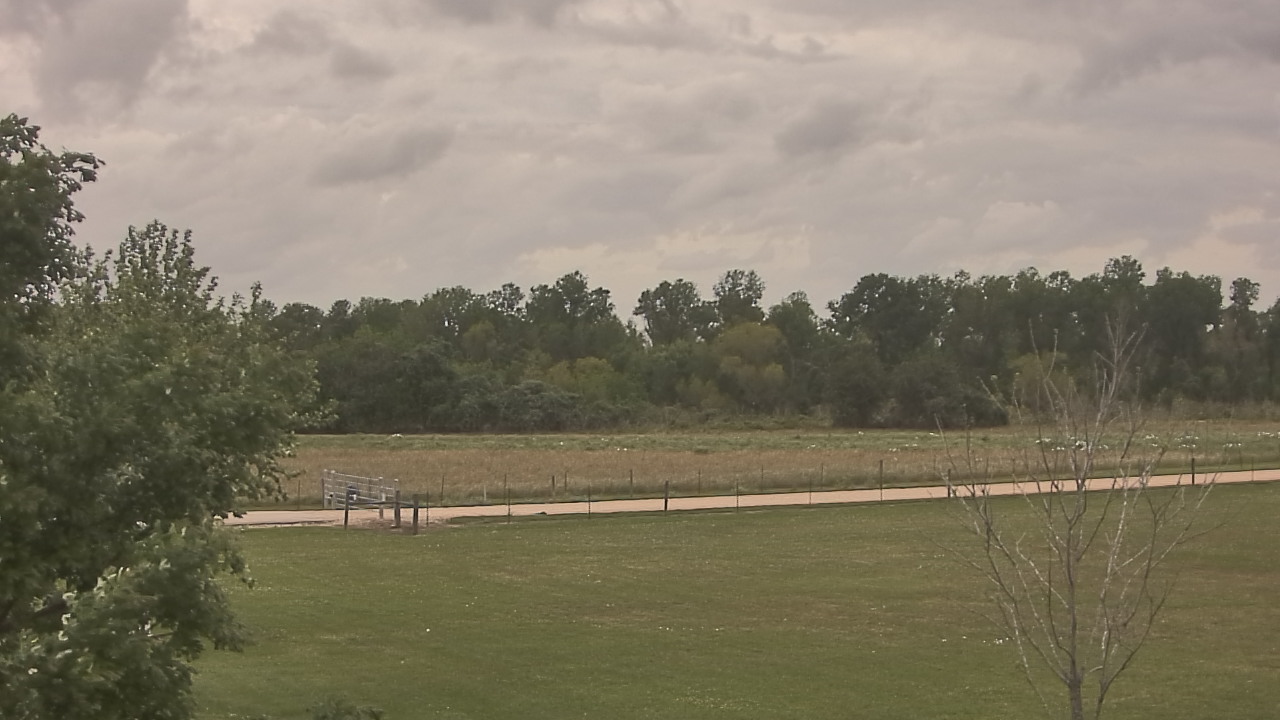 Thumbnail for current weather camera view from Long Acres Ranch in Richmond, Texas