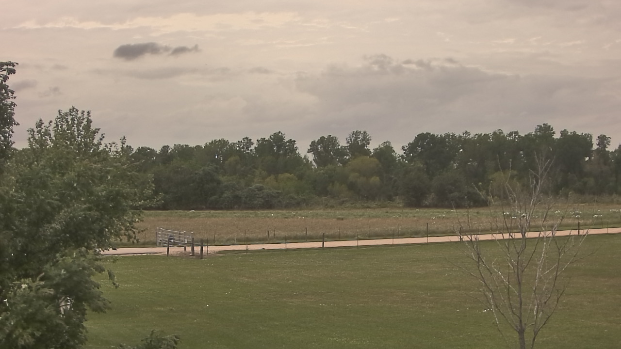 Thumbnail for current weather camera view from Long Acres Ranch in Richmond, Texas