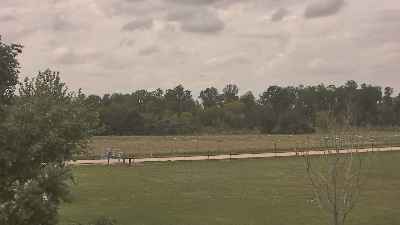 Thumbnail for current weather camera view from Long Acres Ranch in Richmond, Texas