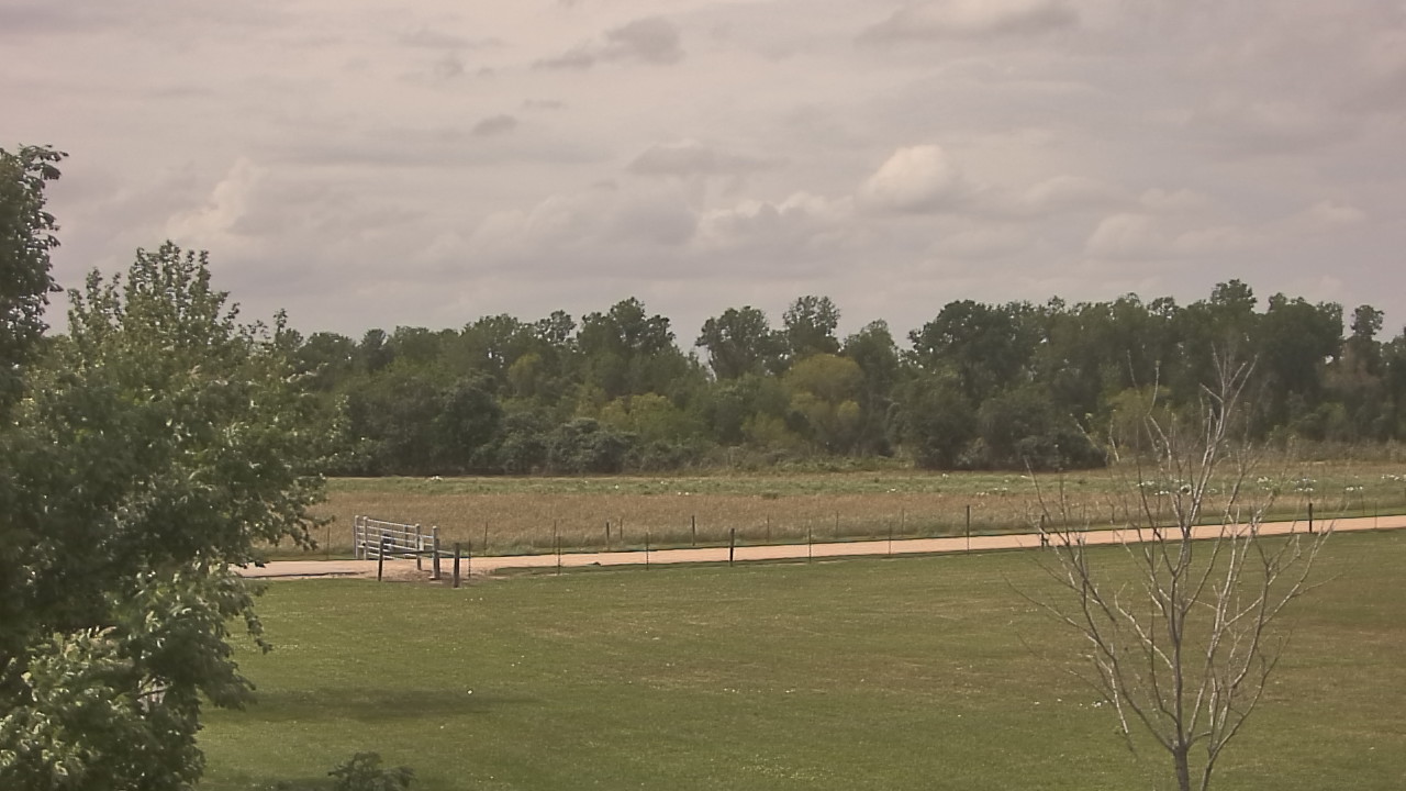 Thumbnail for current weather camera view from Long Acres Ranch in Richmond, Texas