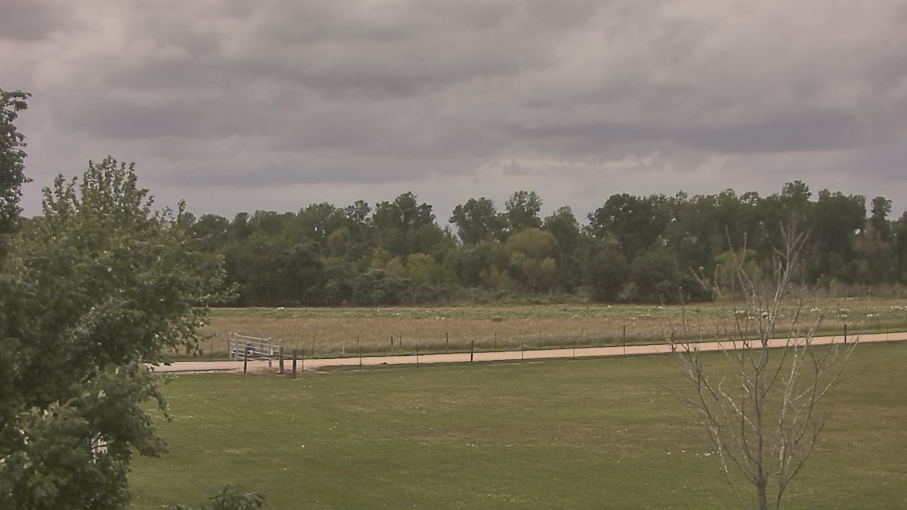 Thumbnail for current weather camera view from Long Acres Ranch in Richmond, Texas