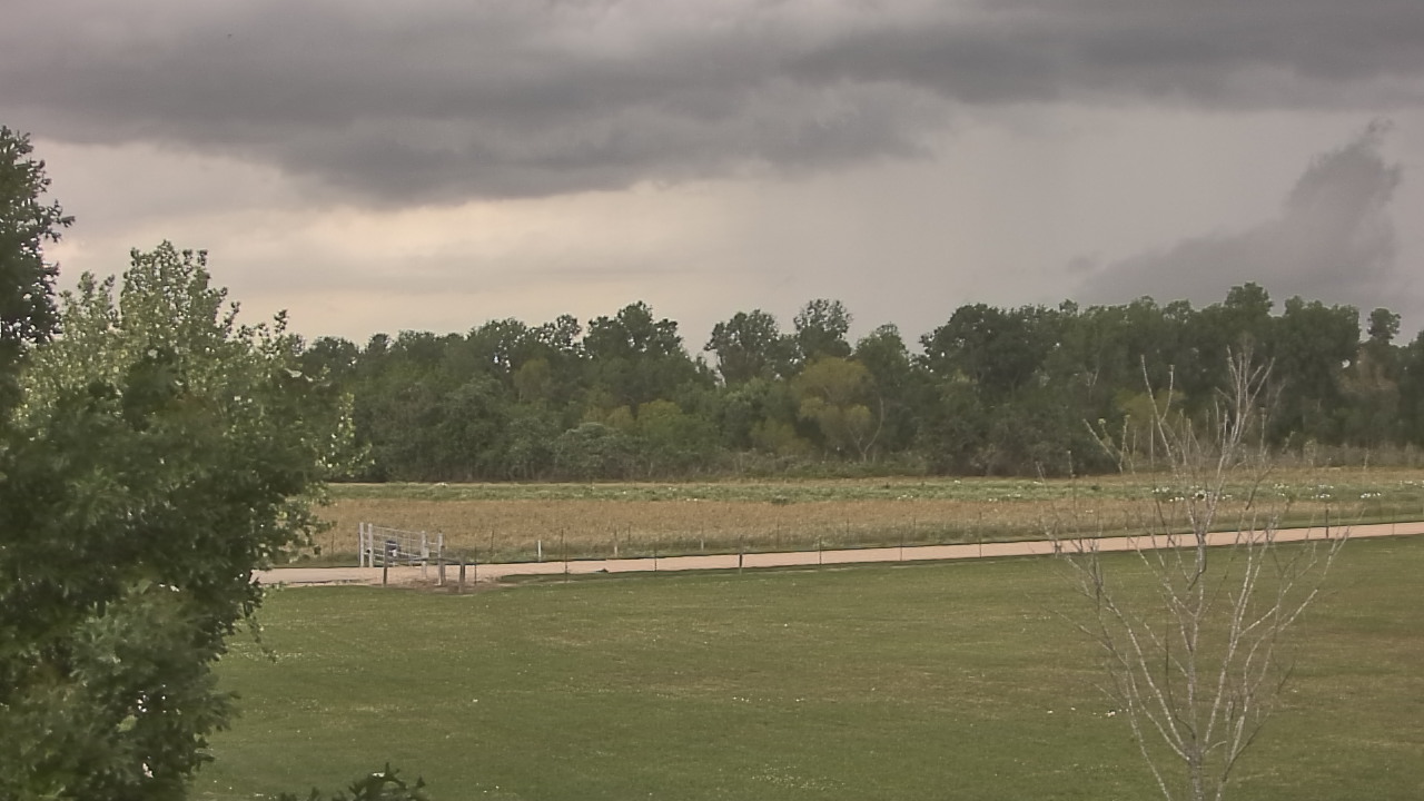 Thumbnail for current weather camera view from Long Acres Ranch in Richmond, Texas