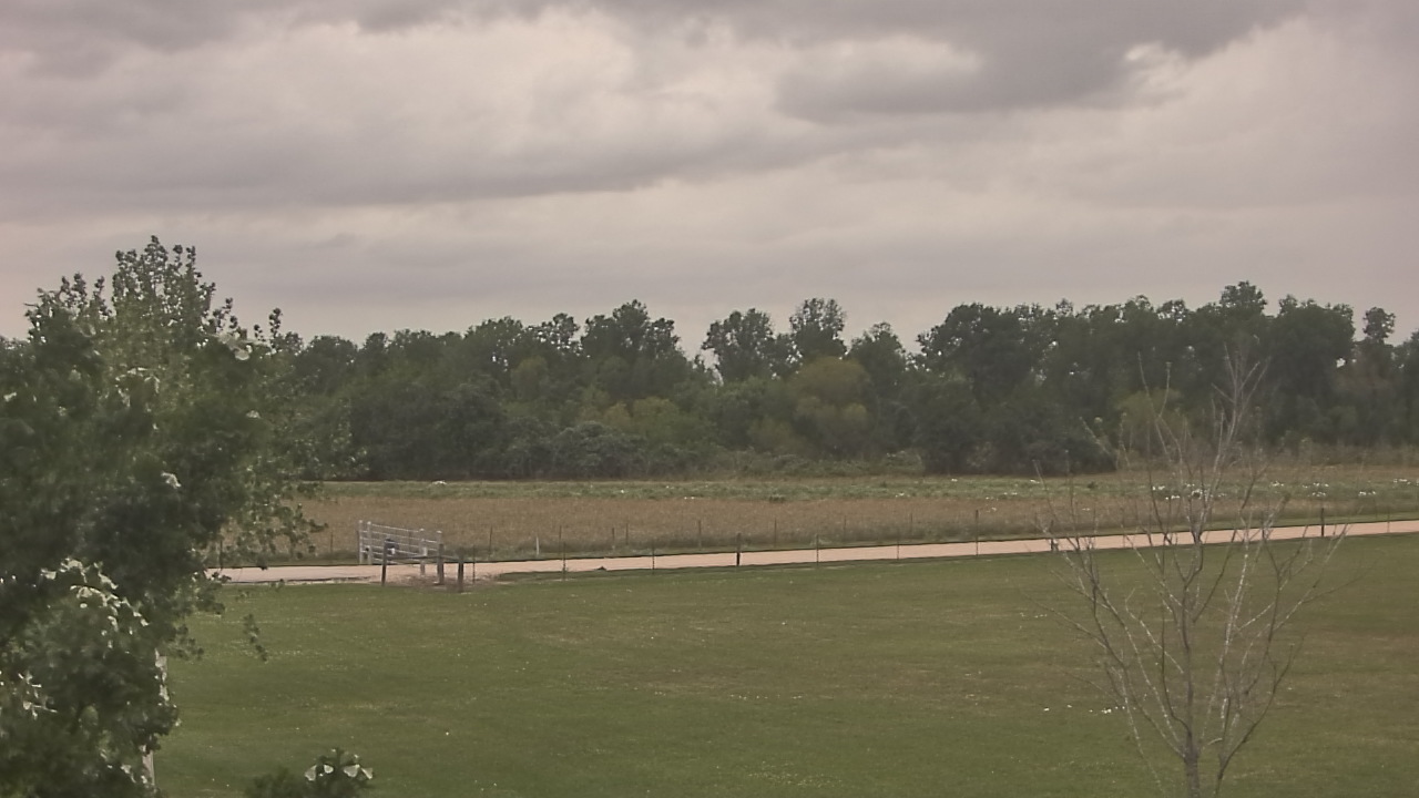 Thumbnail for current weather camera view from Long Acres Ranch in Richmond, Texas