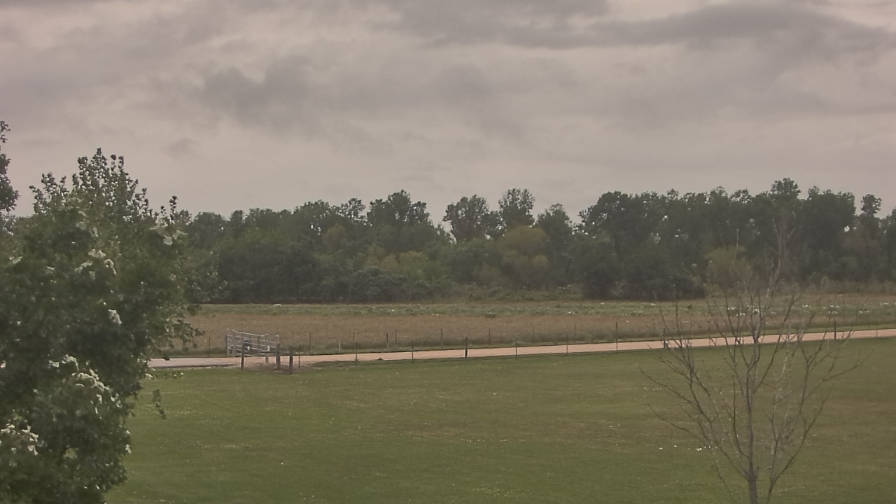 Thumbnail for current weather camera view from Long Acres Ranch in Richmond, Texas