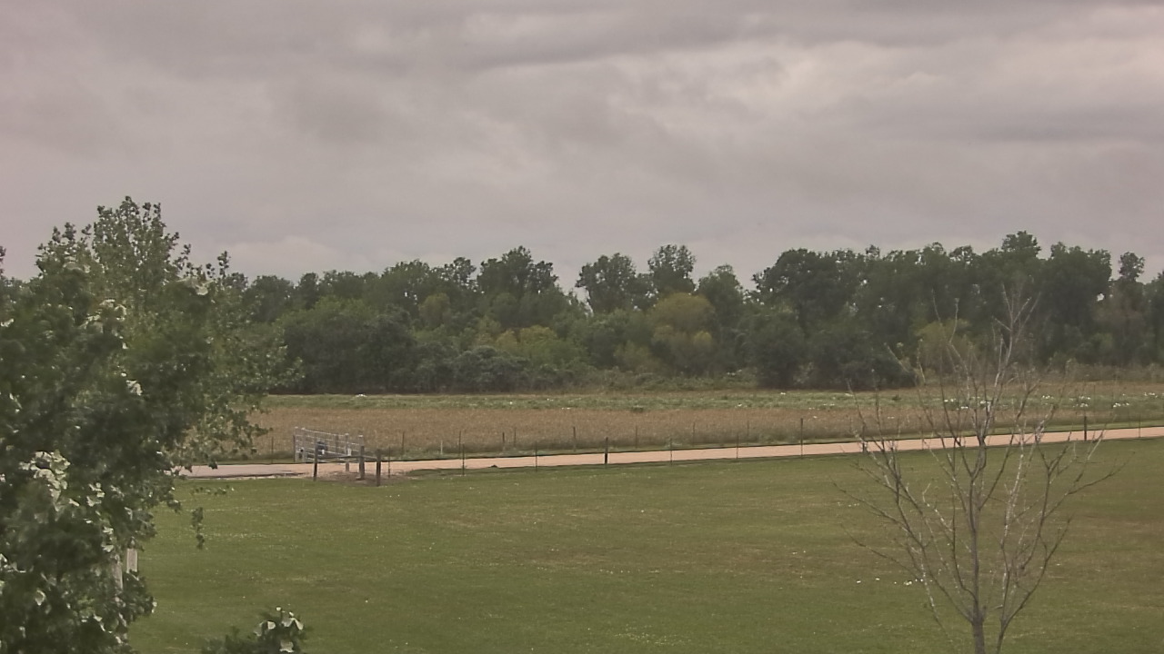 Thumbnail for current weather camera view from Long Acres Ranch in Richmond, Texas