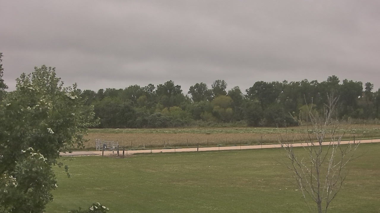 Thumbnail for current weather camera view from Long Acres Ranch in Richmond, Texas