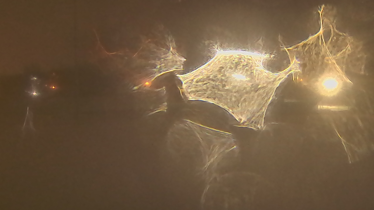 Thumbnail for current weather camera view from Lutheran HS West in Rocky River, Ohio