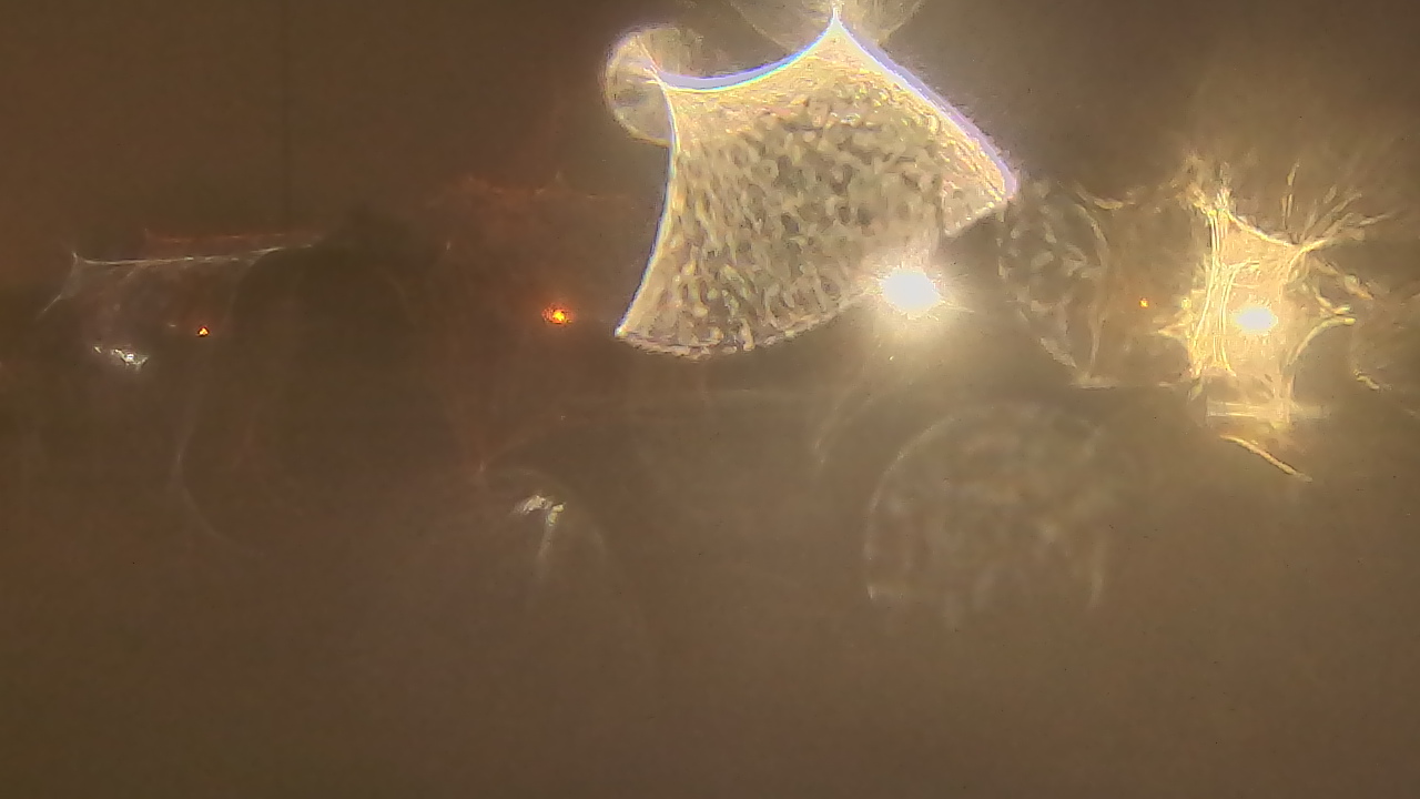 Thumbnail for current weather camera view from Lutheran HS West in Rocky River, Ohio