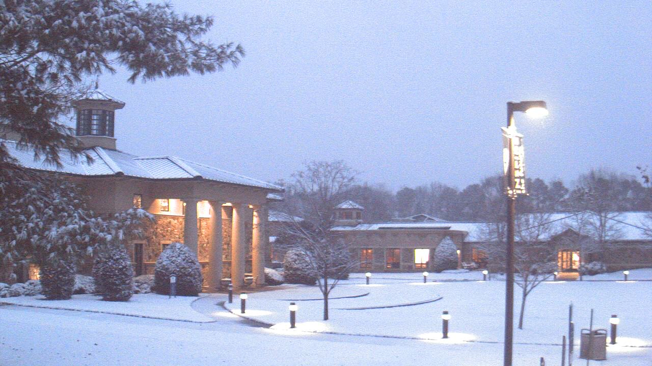 Thumbnail for current weather camera view from The Steward School in Henrico, Virginia