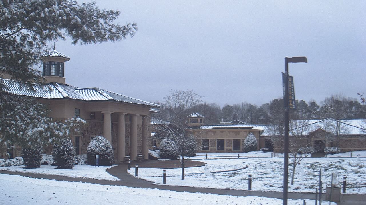 Thumbnail for current weather camera view from The Steward School in Henrico, Virginia