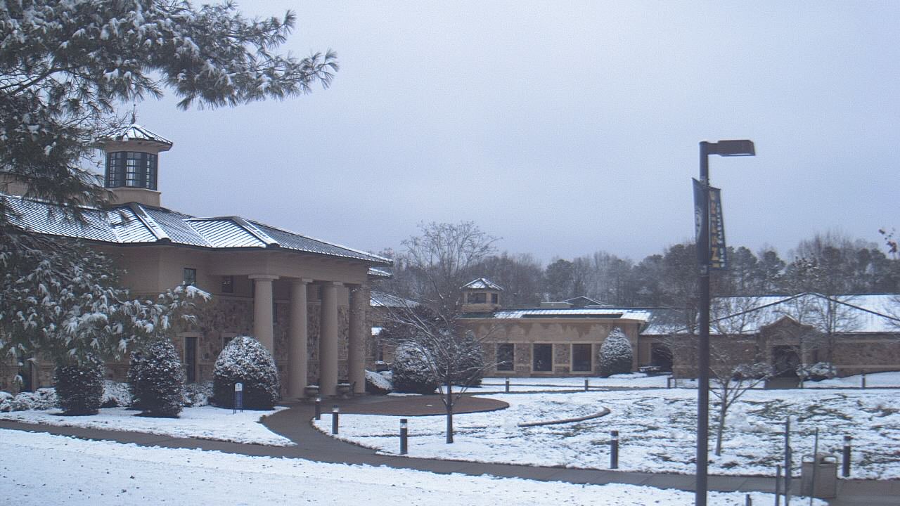 Thumbnail for current weather camera view from The Steward School in Henrico, Virginia